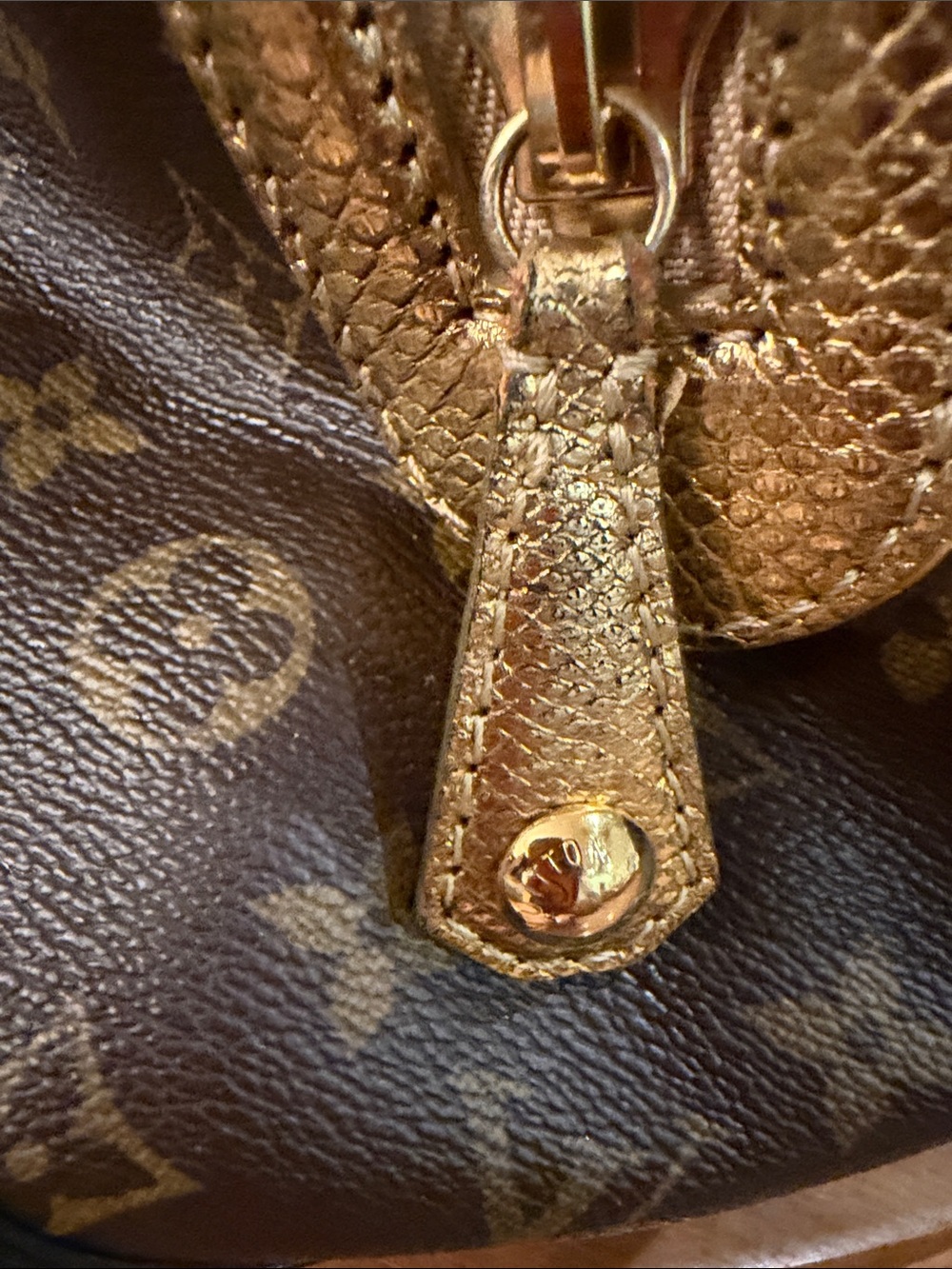 Louis Vuitton Monogram Leopard Stephen Bag - Picture 11 of 16